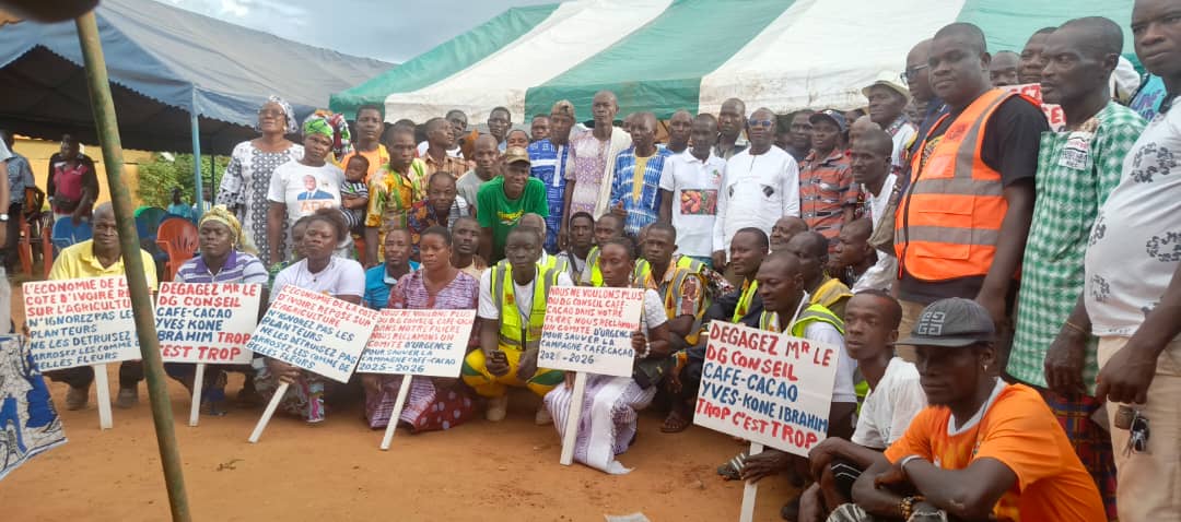 Bouaflé / Crise dans la filière café-cacao : le SYNAP-CI mobilise les producteurs de la Marahoué et exige le départ sans condition du DG du Conseil du Café-Cacao