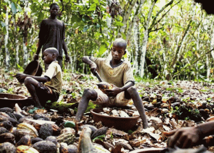 La Côte d’Ivoire désapprouve l’enquête d’un institut américain sur le travail des enfants dans le cacao
