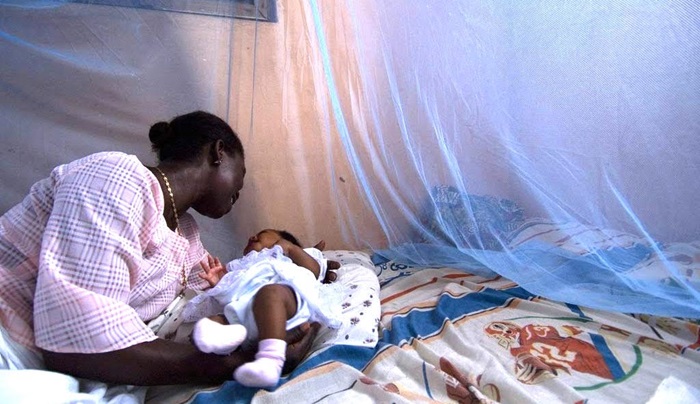 Côte d’Ivoire-Lutte contre le paludisme : Le gouvernement multiplie les initiatives pour éradiquer l’endémie